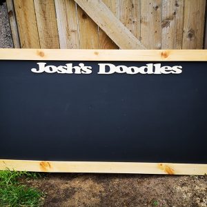 blckrctgle-ywllwnm-chlkbrd-outdr