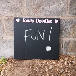 blcksqre-pnknm-chlkbrd-outdr