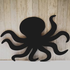 blck-octopos-chlkbrd
