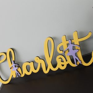 yllwballt-grlsnmsign