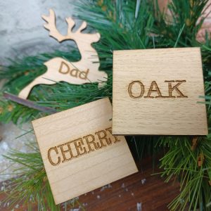 wdn-chrstmsrndr-plcnme