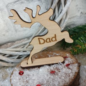 wdn-chrstmsrndr-plcnme