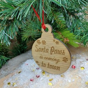 wdncrcl-santapws-cming