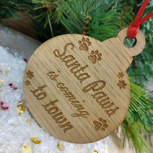 wdncrcl-santapws-cming