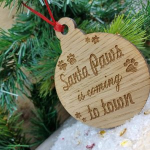 wdncrcl-santapws-cming