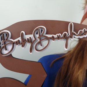 brwn-tddybr-bbyshwrcntdwn