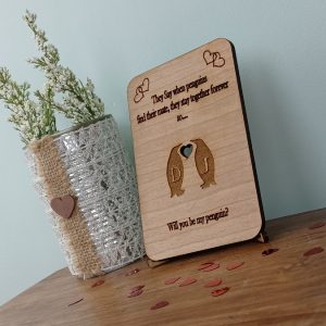 wdn-penguinlv-vlntns