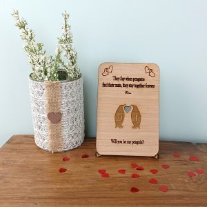 wdn-penguinlv-vlntns