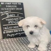 190870482_4191586837546438_6292554245774221106_n